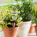 All-In-One Ceramic Fruit Fly/Fungus Gnat Trap with Watering Globe Gift Set, Frog