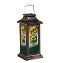 Solar Garden Lantern, Baylor University