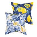 Coastal Citrus Lemons 18" Interchangeable Pillow Cover