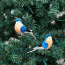 Bluebird Clip Ornament, A/2