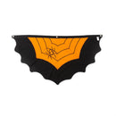 Spider Web Large Bunting 61"x32"