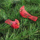 Cardinal Clip Ornament, A/2