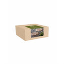 Terracotta Floral Round Stepping Stone