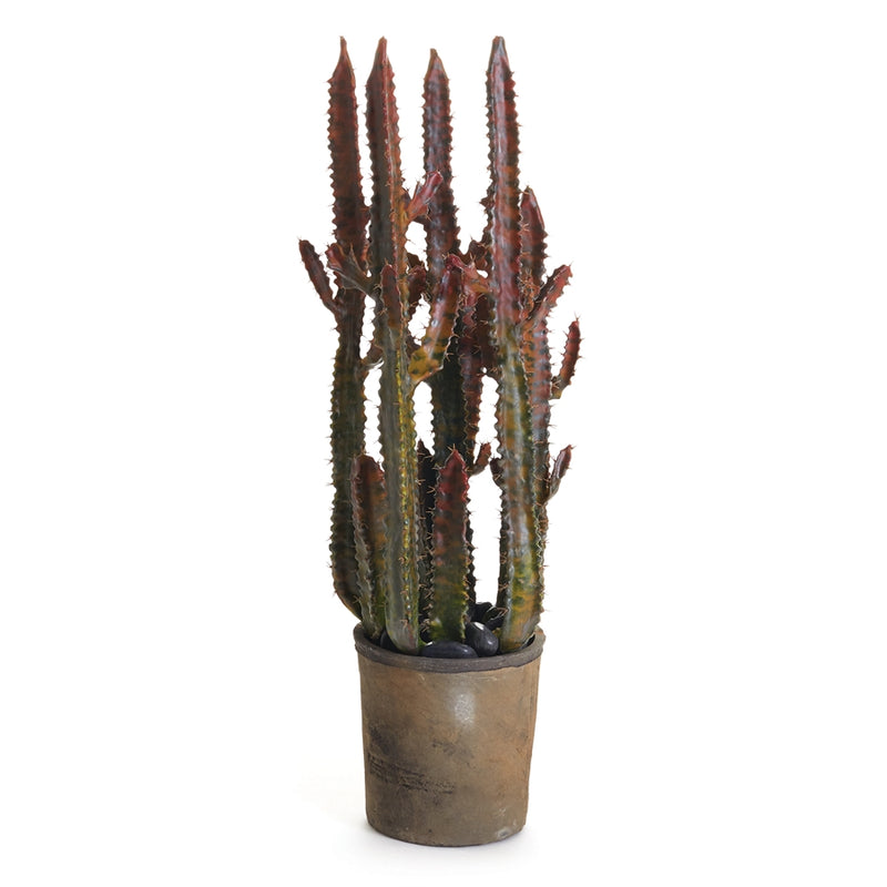 Napa Floral Collection-Spurge Cactus Potted 27 inches