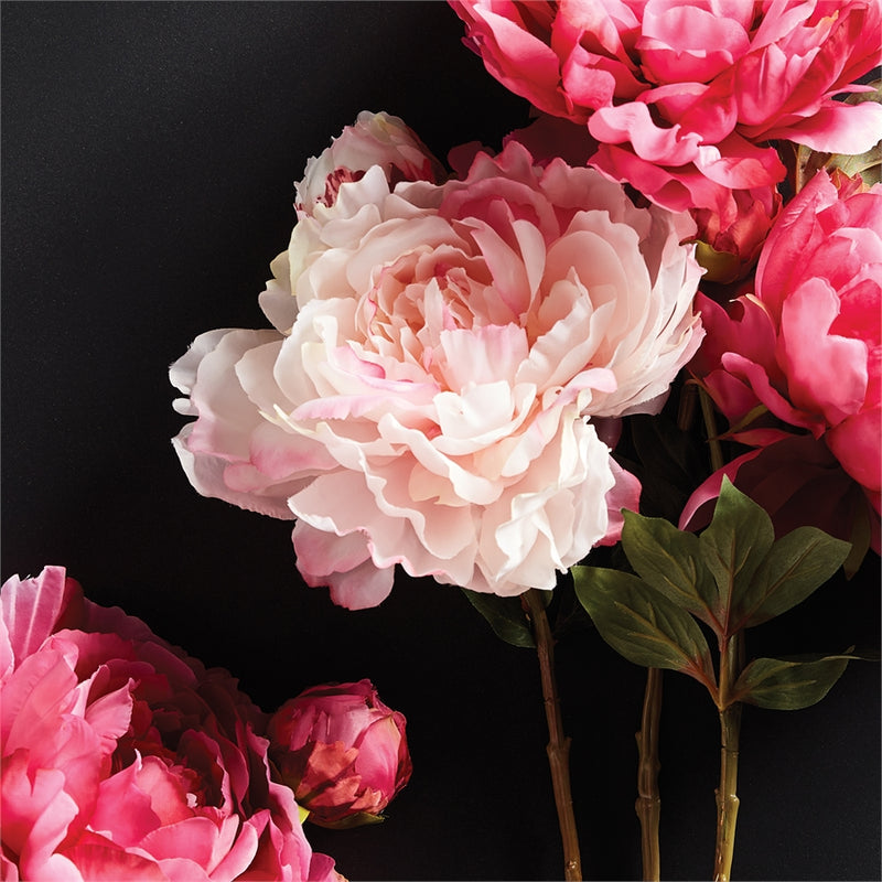 Napa Floral Collection-Peony Stem 21 inches Pink