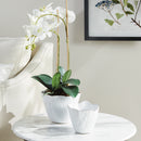 NAPA Home & Garden, MARIBELLA CACHEPOTS, SET OF 2,N4NG33