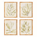 COASTAL GREENERY PRINTS, SET OF 4