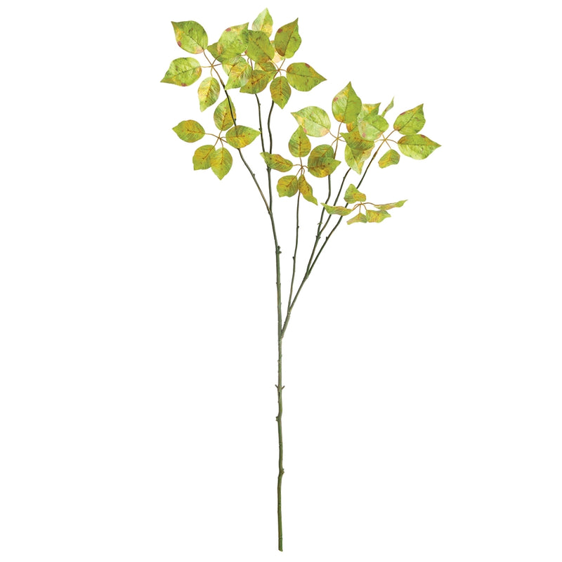 Napa Floral Collection-Variegated Leaf Branch 43 inches