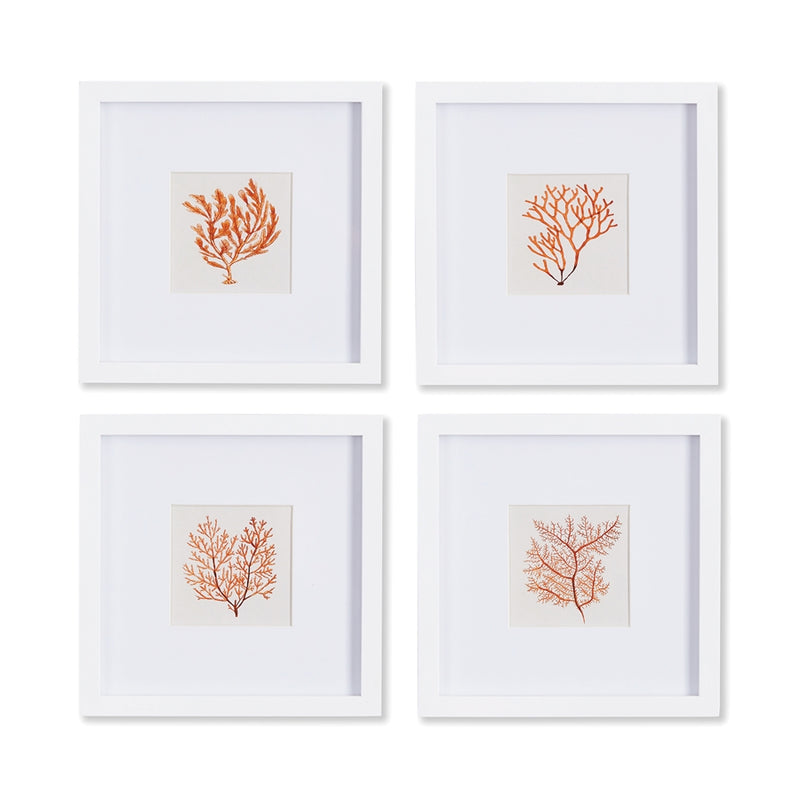 Napa Home Collection-Wall Art, Branch Coral Petite Prints, Set of 4