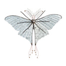 BUTTERFLY WALL ART, Pink