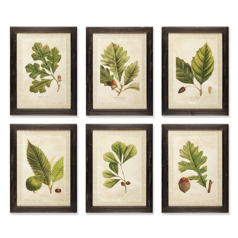 Arborist Set of 6, Prints