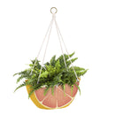 Citrus Fruit Hanging Fabric Planters, Set of 3,2fp035
