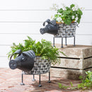 Rustic Pig Planter, Set of 2,8pmtl5301