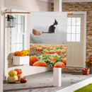 Flying Cat Suede House Flag