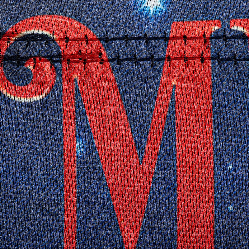 Santa's Sleigh on Christmas Garden Lustre Flag