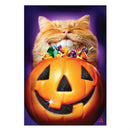 Cat Pumpkin Teeth Suede Garden Flag