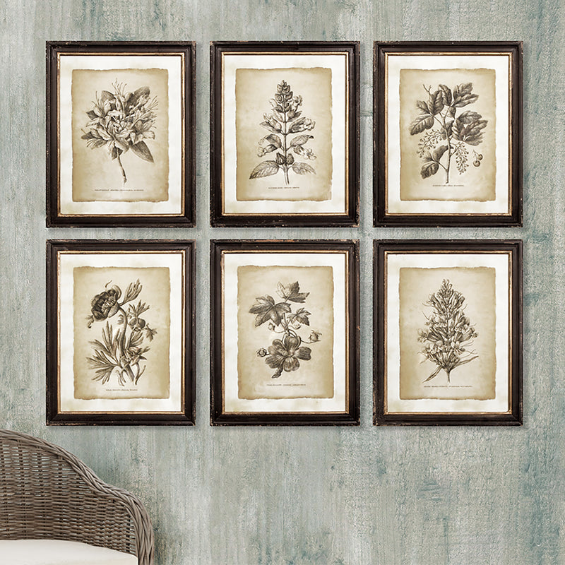 NAPA Home & Garden, FRAMED VINTAGE FLORAL PRINTS, SET OF 6,2269