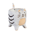 Petal & Plow Planter, Ceramic, Cat, Asst of 2