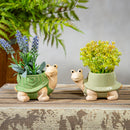 Palm Beach Planter, Ceramic, Turtles, Asst of 2