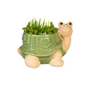 Palm Beach Planter, Ceramic, Turtles, Asst of 2