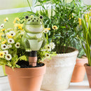 All-In-One Ceramic Fruit Fly/Fungus Gnat Trap with Watering Globe Gift Set, Frog