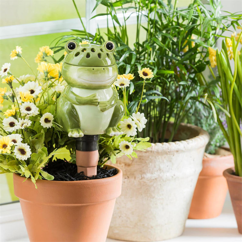 All-In-One Ceramic Fruit Fly/Fungus Gnat Trap with Watering Globe Gift Set, Frog