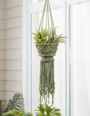 Macrame Medium Hanging Nouveau Plant Cover