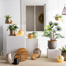 6" Round Wicker Lantern