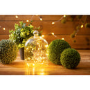 Mini Garden String Lights