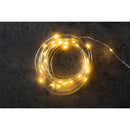 Mini Garden String Lights