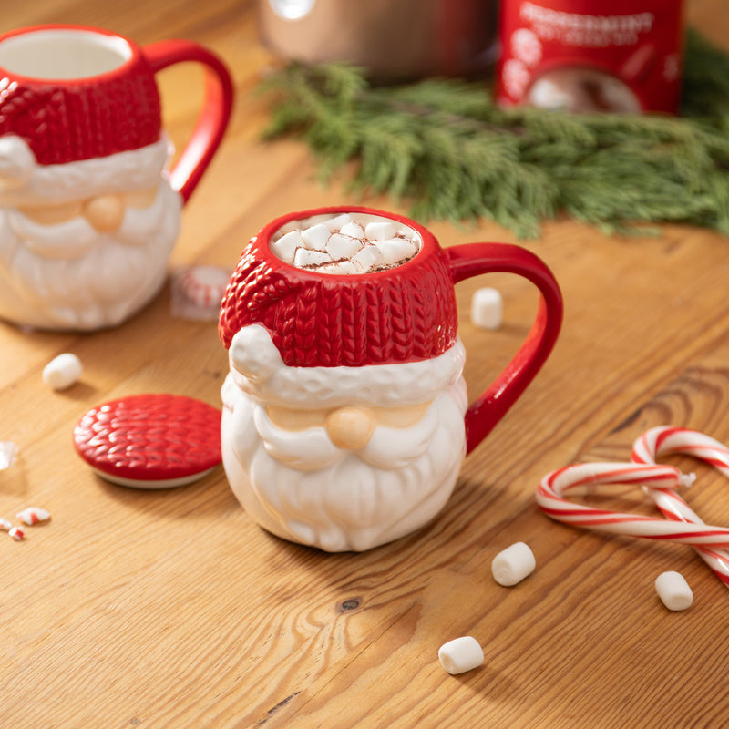 Evergreen Home Accents,13oz Ceramic Santa Cup w/ Knitted Hat Topper and Gift Box,4.88x3.66x4.69 Inches