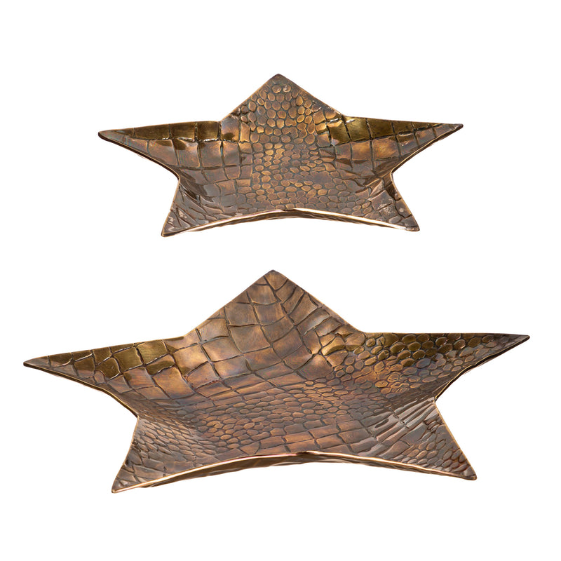 Metal Star Shaped Tray Set,3dhm006