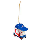 Chicago Cubs, Field Car Ornament,3ot4204car