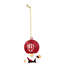Indiana University, Gnome Fan Orn