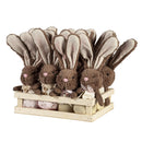 Bunny Blooms Hanging Décor Fabric Bunny, 9", Asst of 2, In Wood Tray