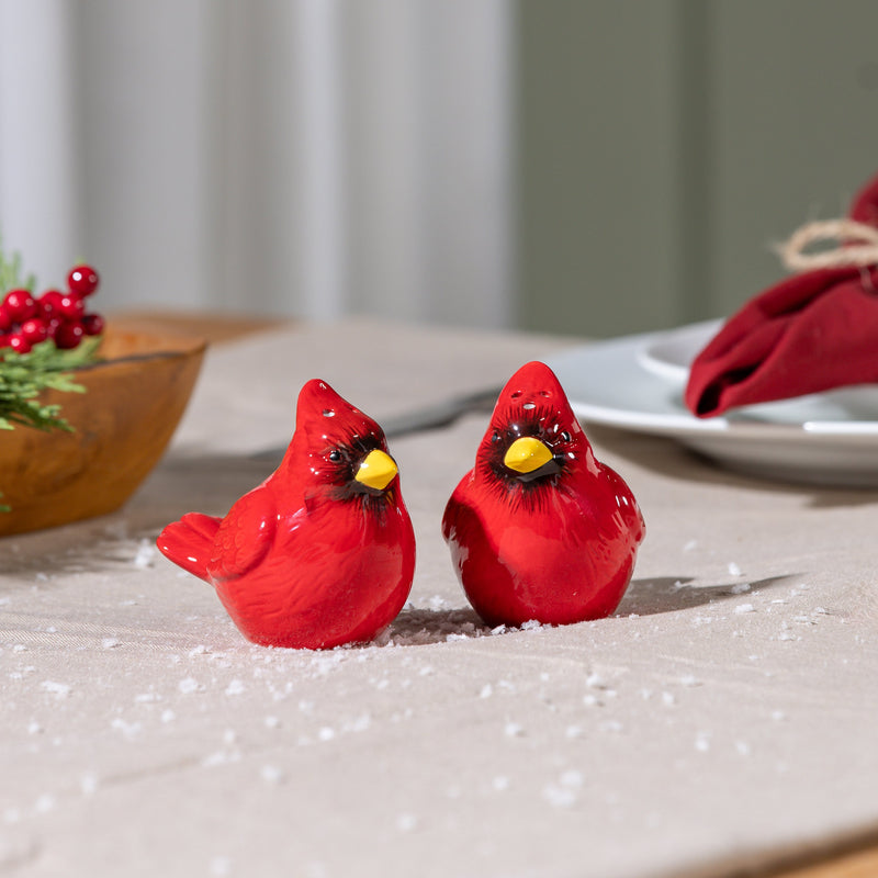 Ceramic Salt and Pepper Set, Cardinal,3spc093