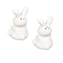 Easter Bunny Scene Ceramic Salt and Pepper Set