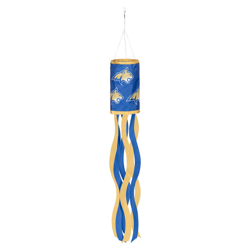 University of Pittsburgh Windsock
