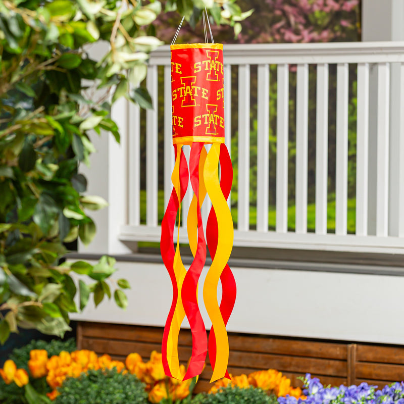 Iowa State University Windsock