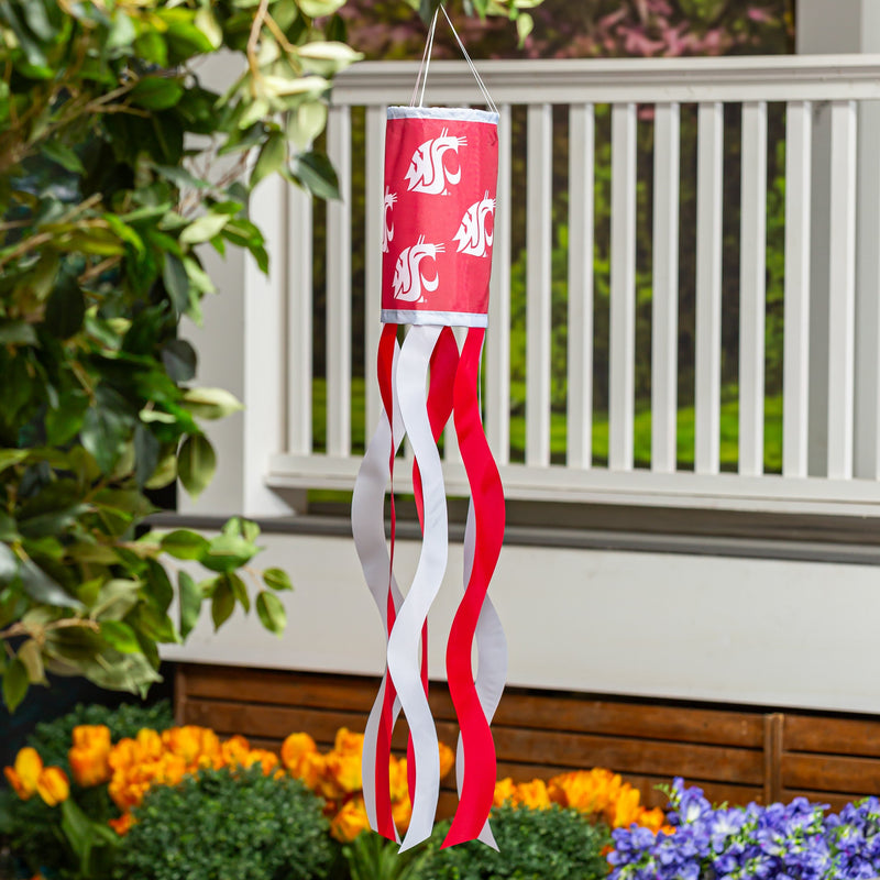 Washington State University Windsock