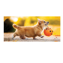 Trick or Treat Puppy Sassafras Switch Mat