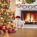 Holiday Poinsettia Planter, French Bucket with Holiday Tag, Set of 3