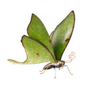 Evergreen Statuary,Metal Luna Moth Statue,29x18x22 Inches