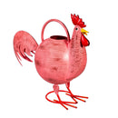 Rooster Watering Can A,                64 oz