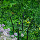 Metal Bird Bath Stand, 19"H