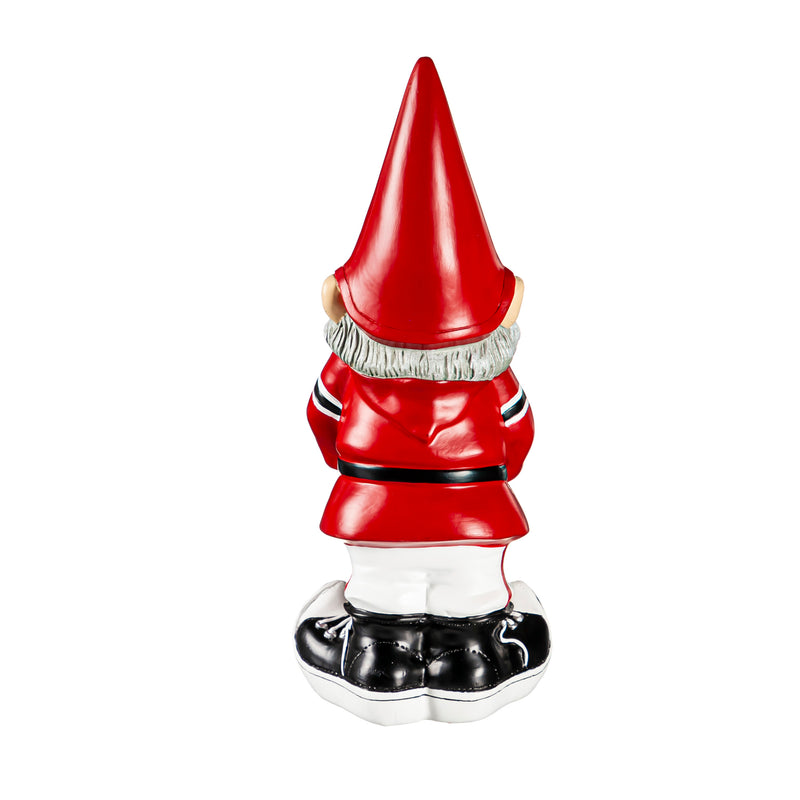 University of Georgia, Garden Gnome,54914gm