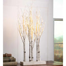 Lighted Birch Line Treescape Accent,65j61nb