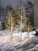 7'H Indoor/Outdoor Birch Tree with 280 Warm White and Multicolor Lights