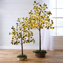Small Lighted Eucalyptus Tree with 72 Lights