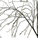 Indoor/Outdoor Electric Lighted Weep Willow Tree, 4' Tall